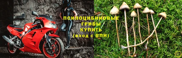 винт Осташков